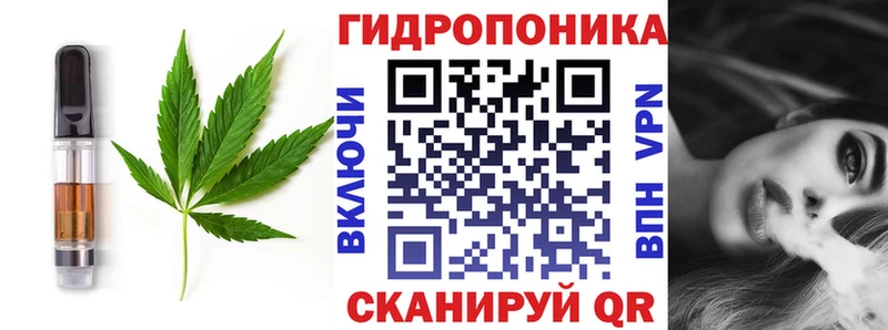 сколько стоит Клин Печенье с ТГК конопля