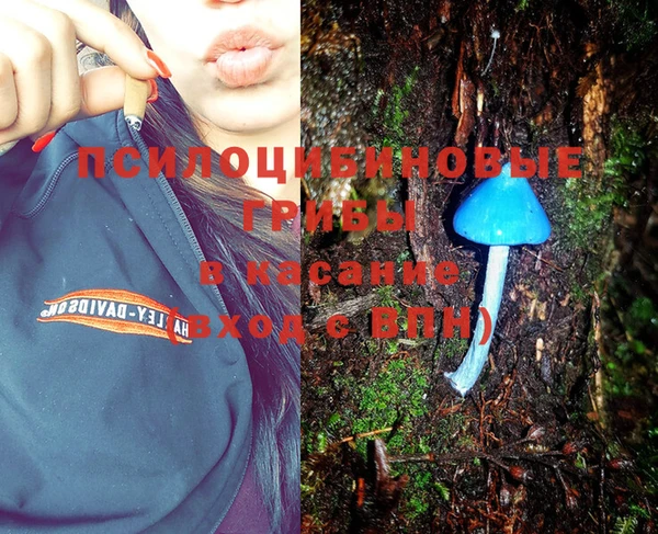 стафф Всеволожск