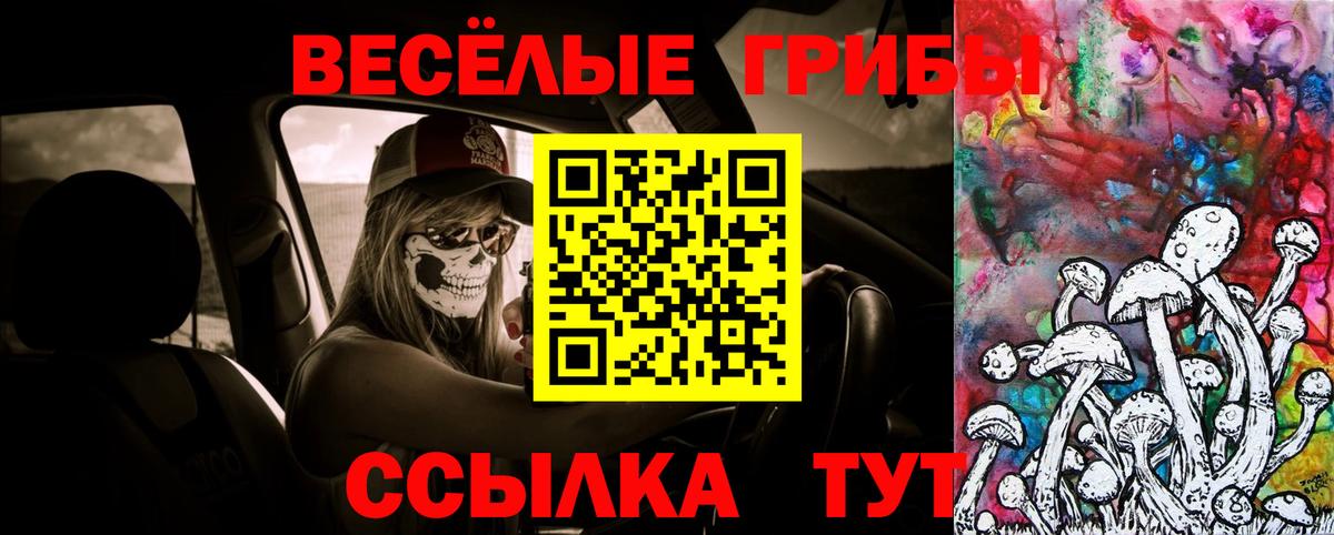 купить наркотик  Псилоцибиновые грибы Psilocybine cubensis  Вход с VPN  Клин 