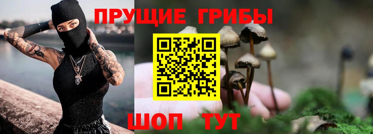 Псилоцибиновые грибы мухоморы  Клин  Галлюциногенные грибы прущие грибы 